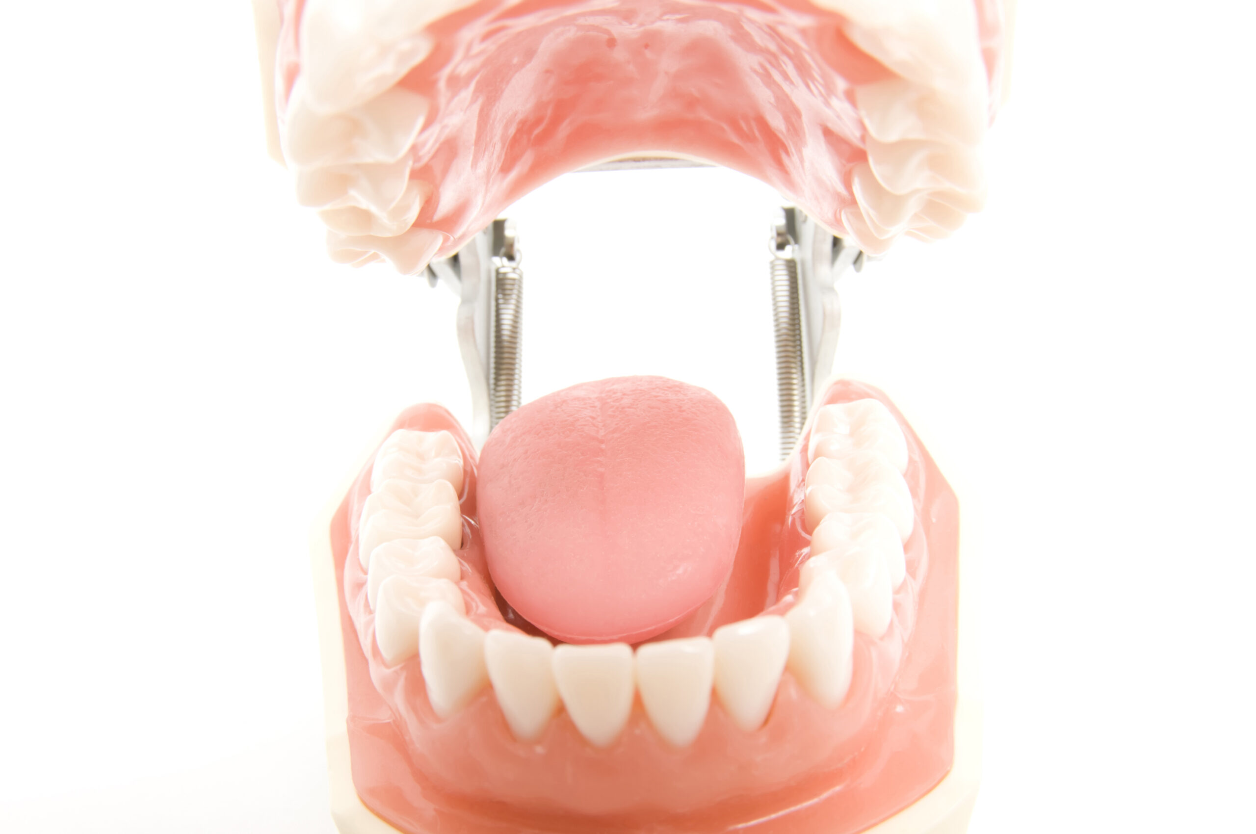 入れ歯の調整不足の可能性|錦糸町の歯医者・歯科 ホワイトデンタルクリニック錦糸町院