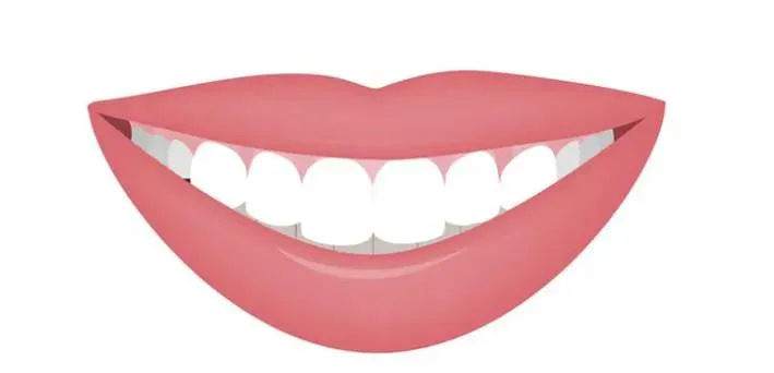 3. 筋肉・唇（上唇挙筋の発達・上唇が薄い）